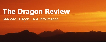 The Dragon Review