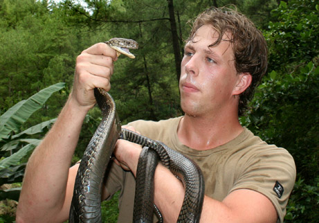 Biologist Freek Vonk goes eye to eye with the longest venomous snake species in the worlda female king cobrain the Indonesian rainforest.