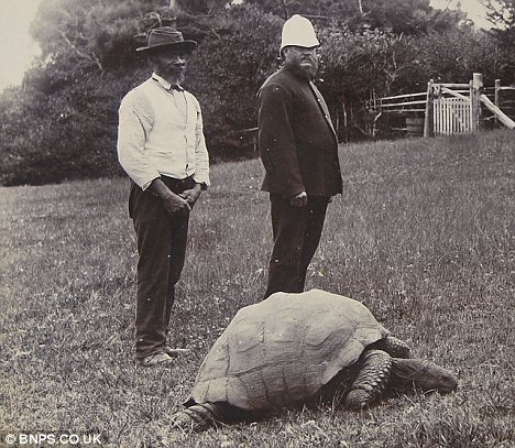Jonathan in 1900 with a Boer war prisoner on the remote island of St Helena.