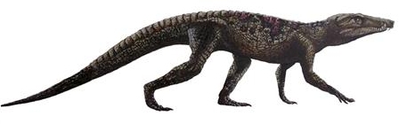 Croc ancestor