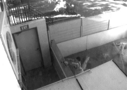 In this CCTV image provided by the Alice Springs Reptile Centre, a 7-year-old boy throws a turtle over a wall in Alice Springs, Australia.